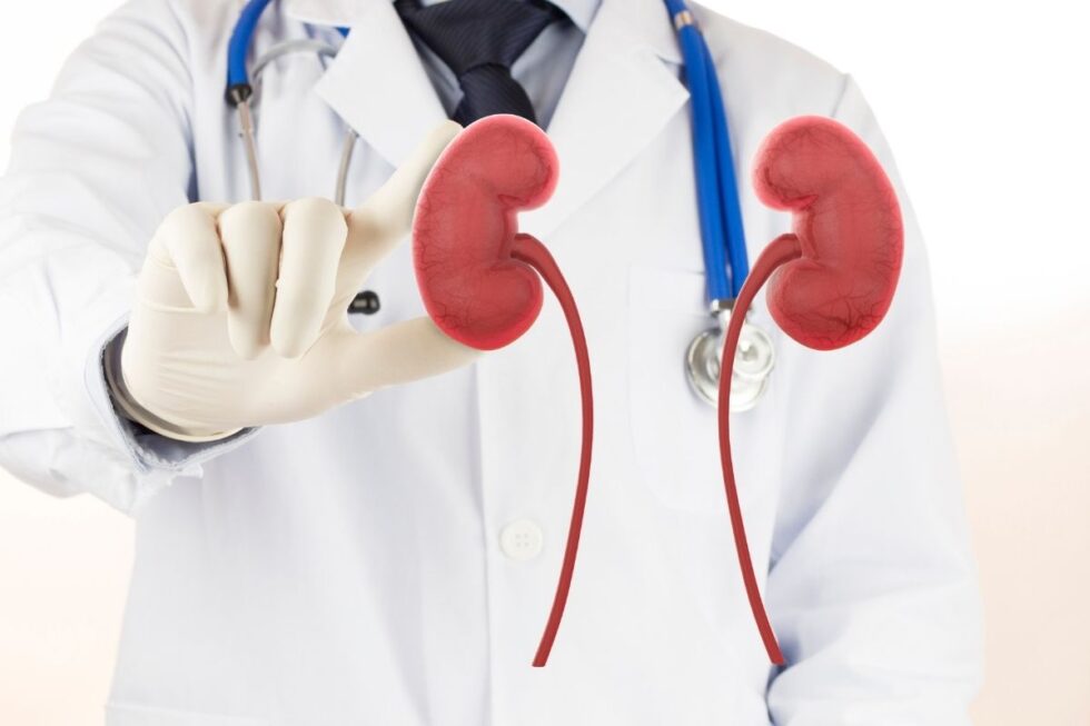 Cos'è l'ematuria cause e sintomi del sangue nelle urine Cos'è l'ematuria cause e sintomi del sangue nelle urine