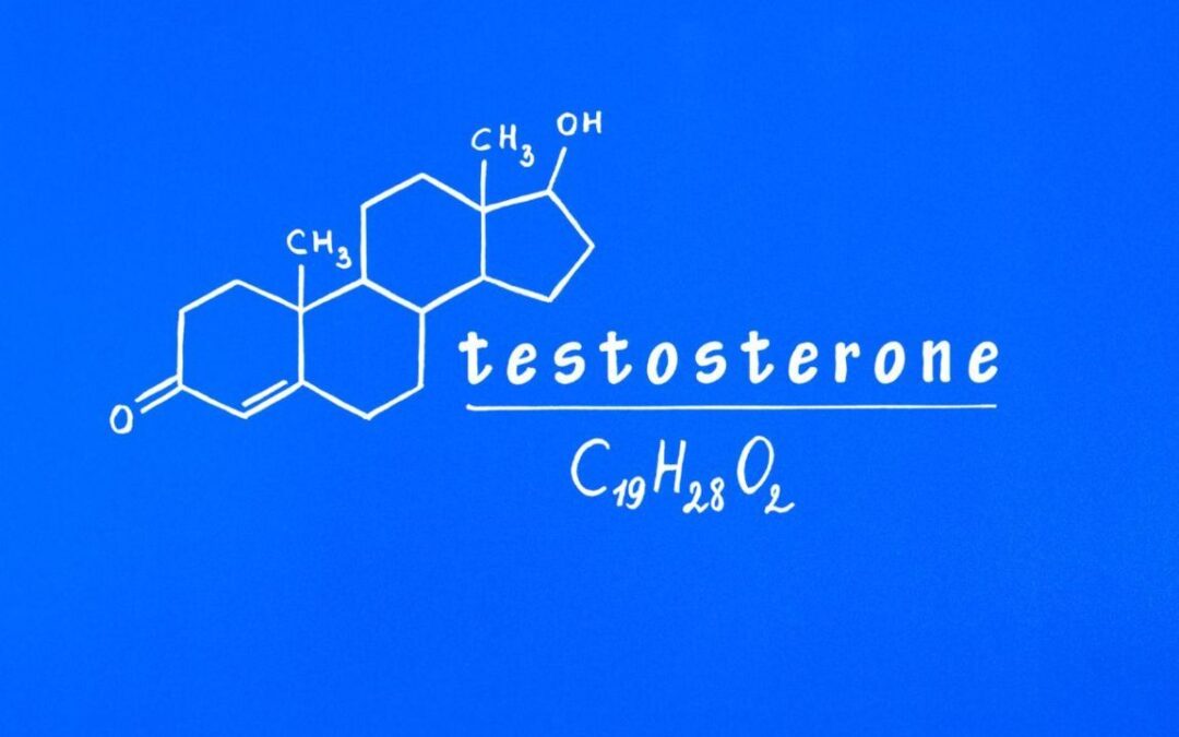 testosterone maschile