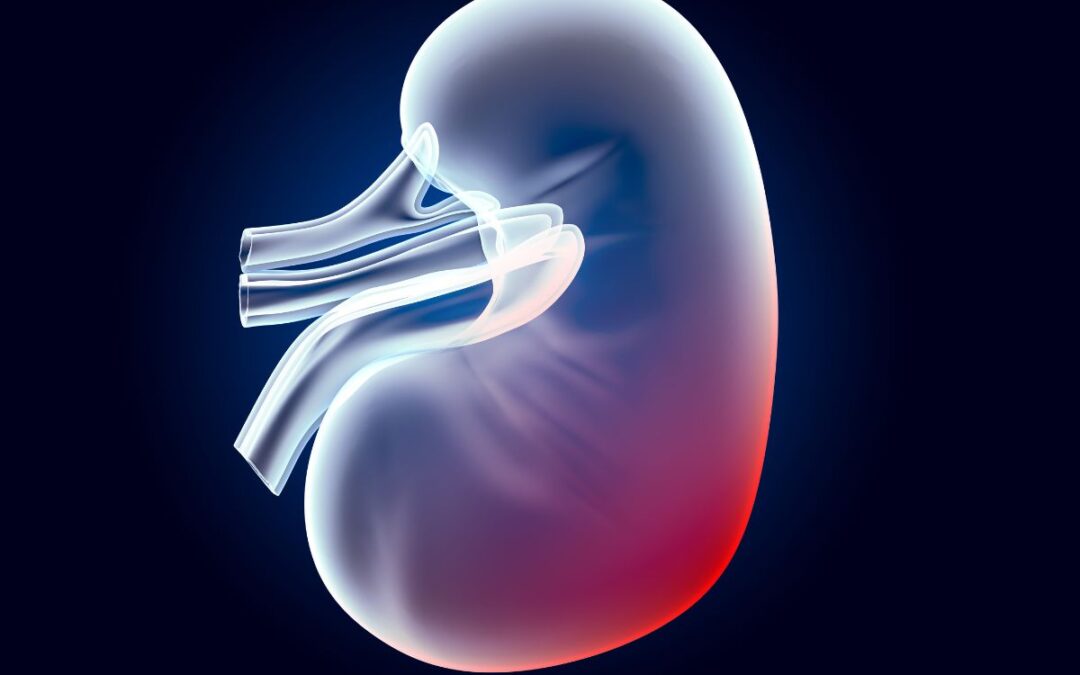 Prevenzione urologica e andrologica in estate: consigli per vivere la bella stagione in salute